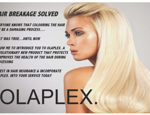 Olaplex Mirror Tool – Hair Breakage Resolved